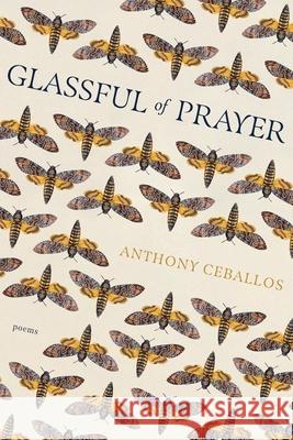 Glassful of Prayer Anthony Ceballos 9781949487534 Trio House Press - książka