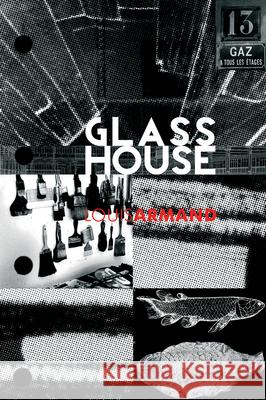 GlassHouse Armand, Louis 9780993195570 Equus Press - książka