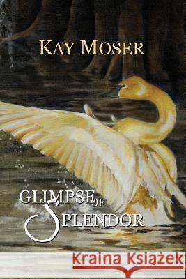 Glimpse of Splendor Kay Moser 9781493640140 Createspace - książka