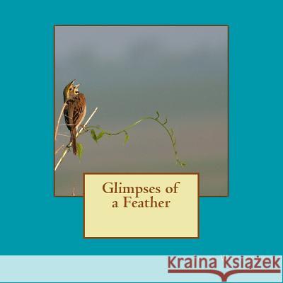 Glimpses of a Feather Jean Williams 9781544749488 Createspace Independent Publishing Platform - książka