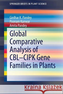 Global Comparative Analysis of Cbl-Cipk Gene Families in Plants Pandey, Girdhar K. 9783319090771 Springer - książka