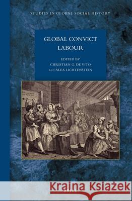 Global Convict Labour Christian Giuseppe De Vito, Alex Lichtenstein 9789004285019 Brill - książka