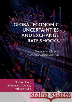 Global Economic Uncertainties and Exchange Rate Shocks: Transmission Channels to the South African Economy Ndou, Eliphas 9783319872797 Palgrave Macmillan - książka