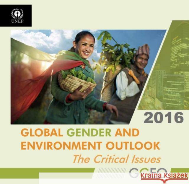 Global Gender and Environment Outlook 2016: The Critical Issues United Nations Publications 9789280735505 United Nations - książka