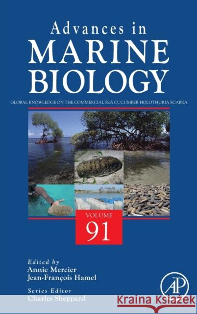 Global Knowledge on the Commercial Sea Cucumber Holothuria Scabra: Volume 91 Annie Mercier Charles Sheppard 9780443184345 Academic Press - książka