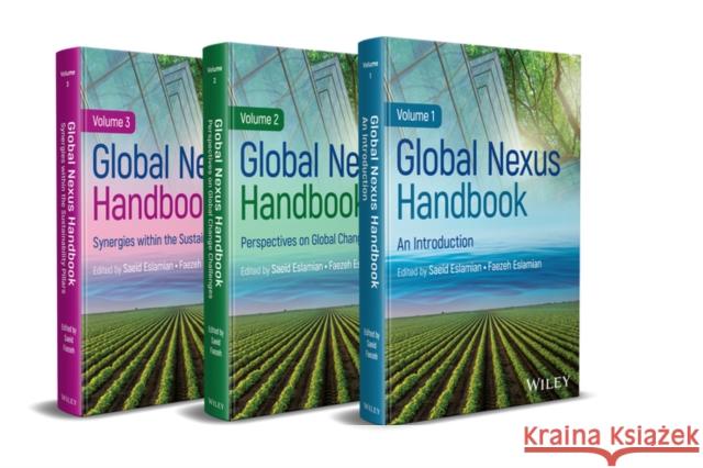 Global Nexus Handbook Faezeh (McGill University, Canada) Eslamian 9781394248056  - książka