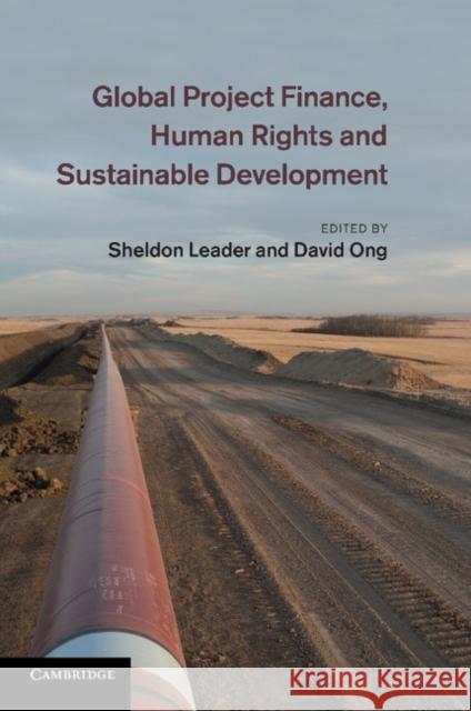 Global Project Finance, Human Rights and Sustainable Development Sheldon Leader David Ong 9781107658516 Cambridge University Press - książka