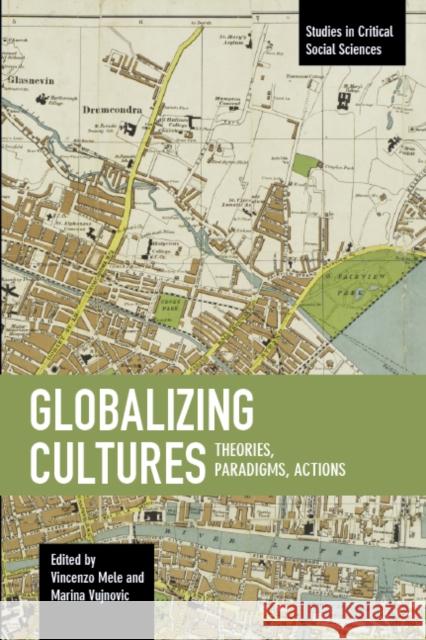 Globalizing Cultures: Theories, Paradigms, Actions Vincenzo Mele Marina Vujnovic 9781608467112 Studies in Critical Social Science - książka