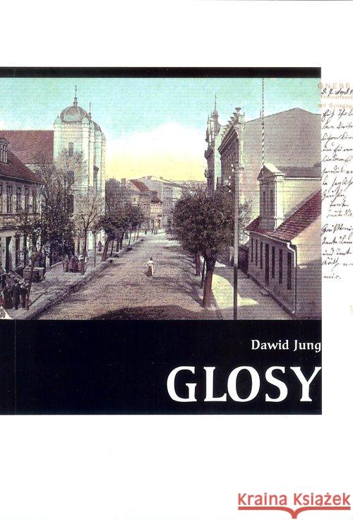 Glosy Jung Dawid 9788394926946 Gnieźnieńska Konfraternia Teatralna - książka