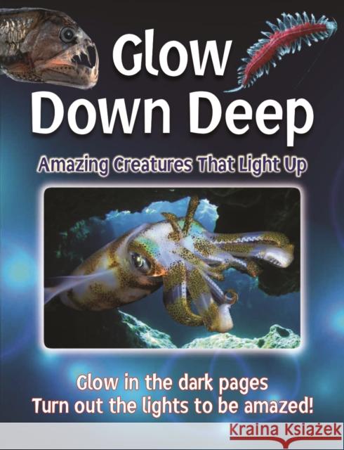 Glow Down Deep: Amazing Creatures That Light Up Lisa Regan 9780228102526 Firefly Books - książka