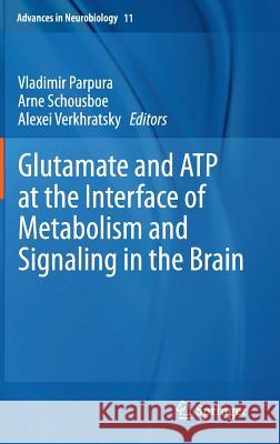 Glutamate and Atp at the Interface of Metabolism and Signaling in the Brain Parpura, Vladimir 9783319088938 Springer - książka