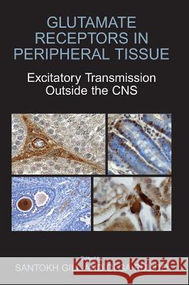 Glutamate Receptors in Peripheral Tissue: Excitatory Transmission Outside the CNS Santokh Gill Olga Pulido 9780306479731 Kluwer Academic/Plenum Publishers - książka