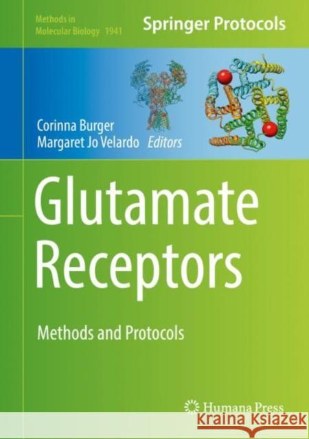 Glutamate Receptors: Methods and Protocols Burger, Corinna 9781493990764 Humana Press - książka