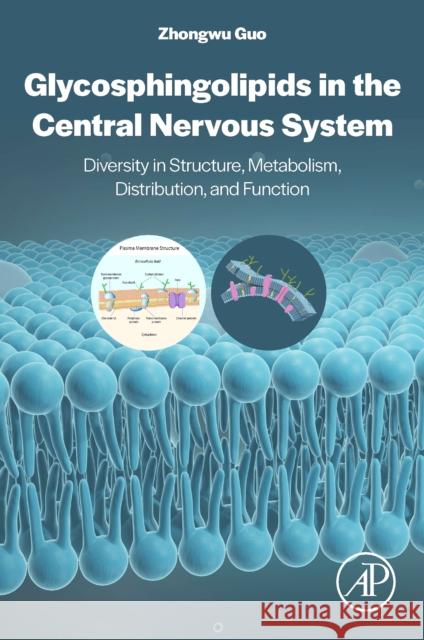 Glycosphingolipids in the Central Nervous System: Diversity in Structure, Metabolism, Distribution, and Function Zhongwu Guo 9780443161568 Elsevier - Health Sciences Division - książka