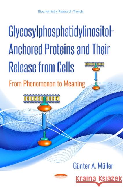 Glycosylphosphatidylinositol-Anchored Proteins and Their Release from Cells: From Phenomenon to Meaning Günter A. Müller 9781536139662 Nova Science Publishers Inc - książka