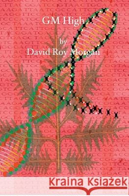 GM High David Roy Morgan 9781419640797 Booksurge Publishing - książka