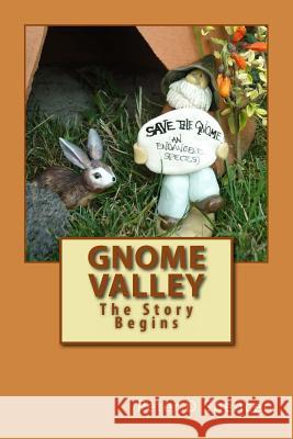 Gnome Valley Peter D. Spencer 9781491040805 Createspace - książka