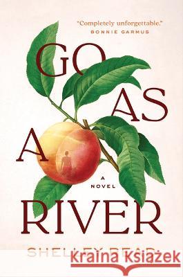 Go as a River Shelley Read 9781954118232 Spiegel & Grau - książka