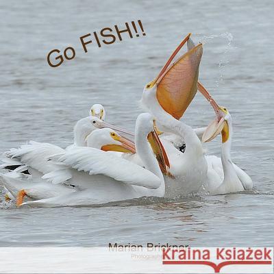 Go Fish! Marian Brickner 9781987674569 Createspace Independent Publishing Platform - książka