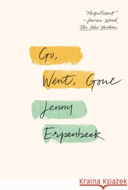 Go, Went, Gone Jenny Erpenbeck Susan Bernofsky 9780811225946 New Directions Publishing Corporation - książka