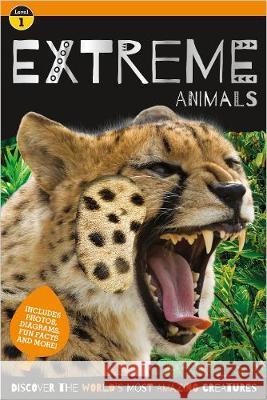 Go Wild Extreme Animals    9781800580183 Make Believe Ideas - książka