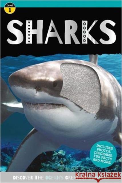 Go Wild Shark    9781800580176 Make Believe Ideas - książka