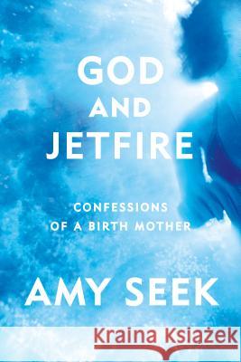 God and Jetfire: Confessions of a Birth Mother Amy Seek 9780374536268 Farrar Straus Giroux - książka