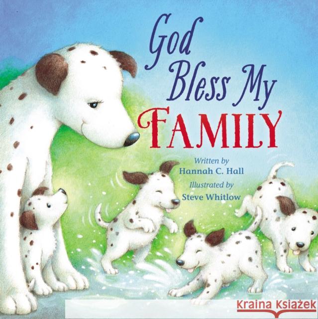 God Bless My Family Hannah Hall Steve Whitlow 9780718092160 Thomas Nelson - książka