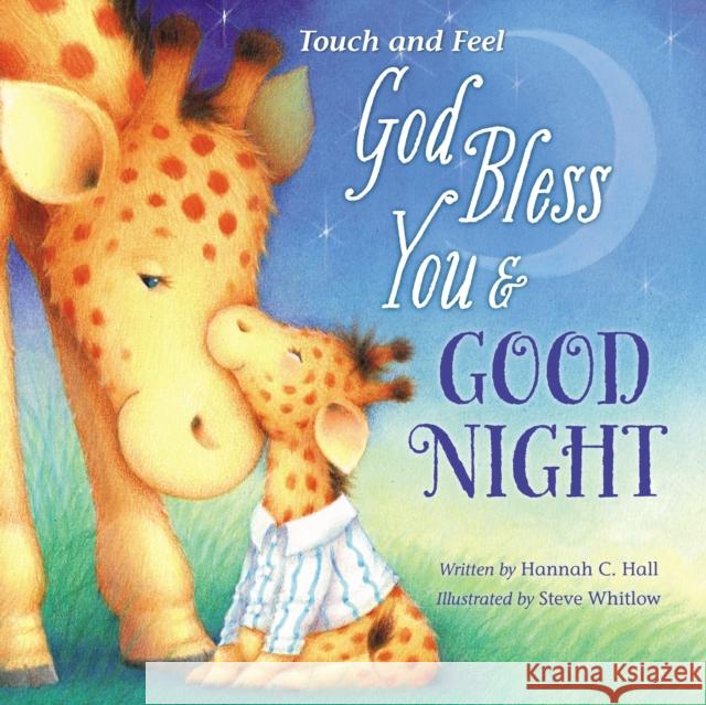 God Bless You and Good Night Touch and Feel Hannah Hall 9781400209231 Tommy Nelson - książka