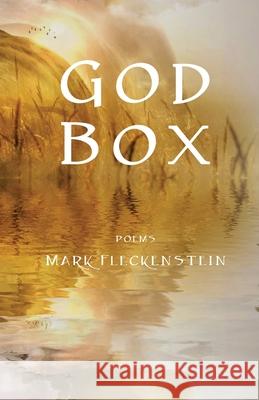 God Box Mark Fleckenstein 9781947653368 Clare Songbirds Publishing House - książka