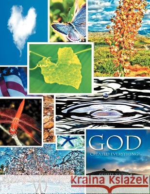 God Created Everything! Desiree Naujock 9781465378514 Xlibris Corporation - książka