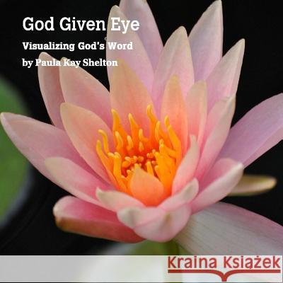 God Given Eye: Visualizing God's Word Paula Kay Shelton 9781495328183 Createspace - książka