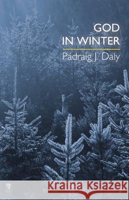 God in Winter Padriag J. Daly Padraig J. Daly 9781910251065 Dedalus Press - książka