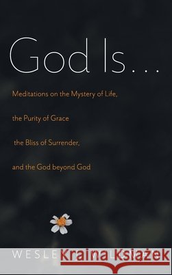 God Is . . . Wesley J Wildman 9781532659201 Cascade Books - książka