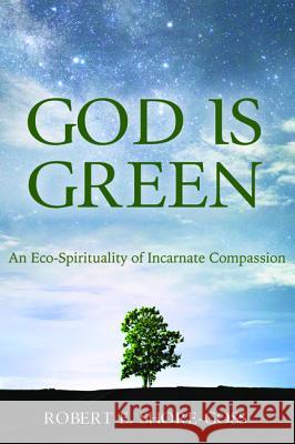 God is Green Shore-Goss, Robert E. 9781498299190 Cascade Books - książka