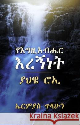 God is my Shepherd Ermias Tilahun 9781087865041 Indy Pub - książka