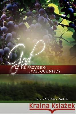 God Is the Provision of All Our Needs Dr Damian Iwuala 9781441569776 Xlibris Corporation - książka