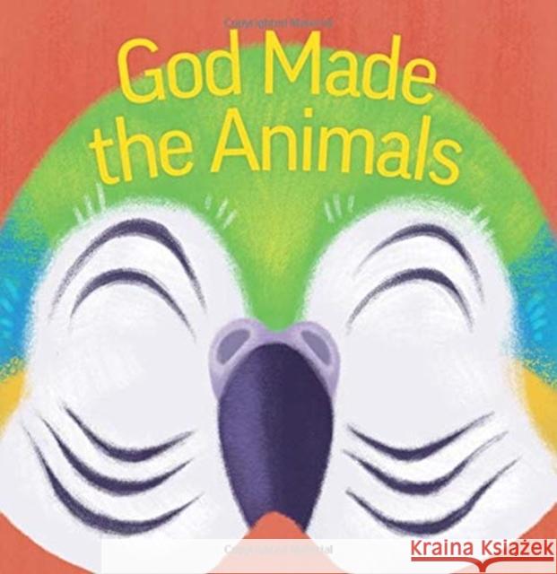 God Made the Animals Marie Turner Naomi Romero 9781506421858 Sparkhouse Family - książka