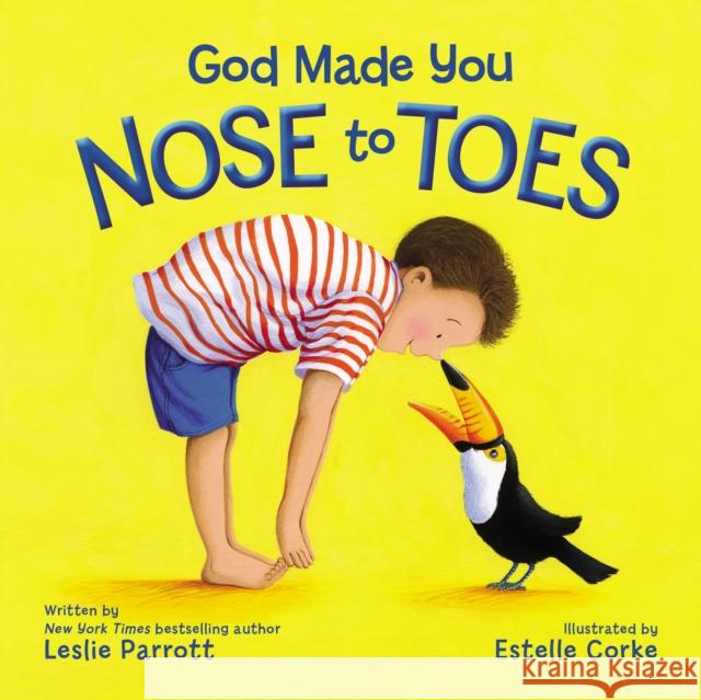 God Made You Nose to Toes Leslie Parrott Estelle Corke 9780310757405 Zonderkidz - książka