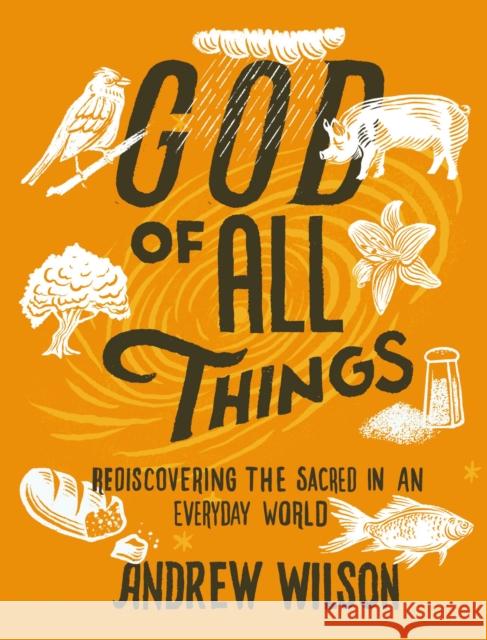 God of All Things: Rediscovering the Sacred in an Everyday World Andrew Wilson 9780310109082 Zondervan - książka