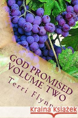 God Promised Volume Two: Proclaiming the Word Over Terri Flynn 9781505719543 Createspace - książka