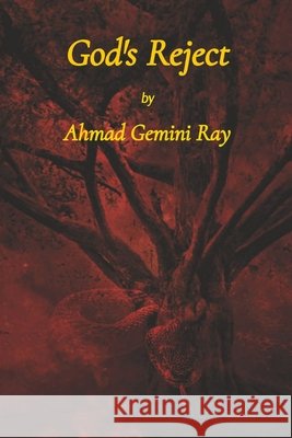 God's Reject Ahmad G Ray Bridget V Ray Billy J Ray 9780578365084 Iconic Creations Entertainment - książka