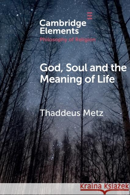 God, Soul and the Meaning of Life Thaddeus Metz 9781108457453 Cambridge University Press - książka