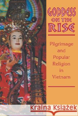 Goddess on the Rise: Pilgrimage and Popular Religion in Vietnam Philip Taylor 9780824828011 University of Hawaii Press - książka
