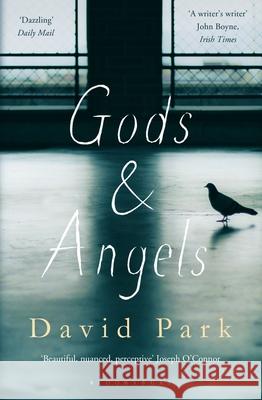 Gods and Angels David Park 9781408866092 Bloomsbury Publishing PLC - książka