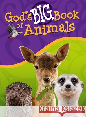 God's Big Book of Animals Orit Kashtan 9781683441588 Master Books - książka