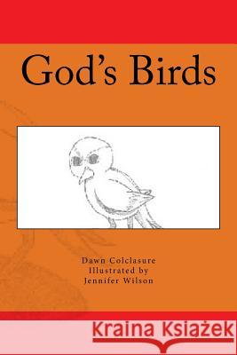 God's Birds Dawn Colclasure Jennifer Wilson 9781532910463 Createspace Independent Publishing Platform - książka