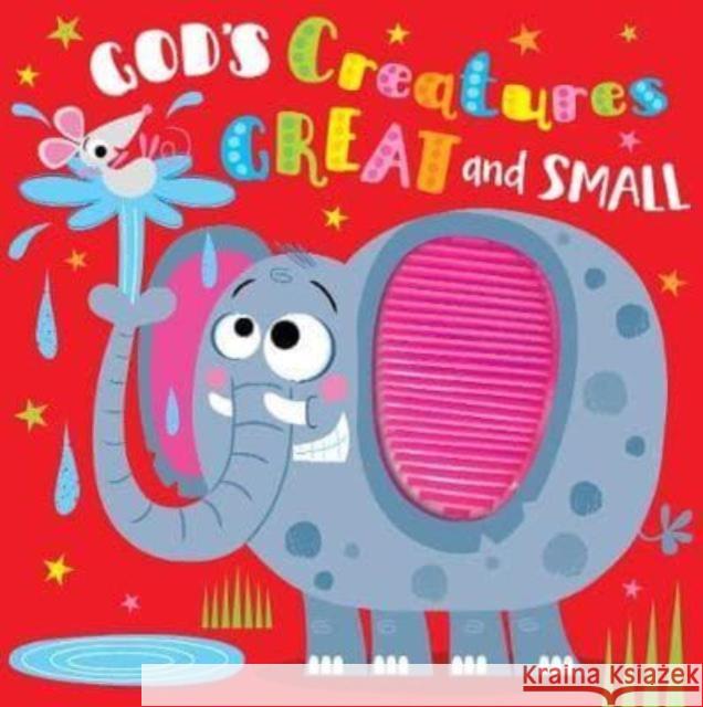 God's Creatures Great and Small Rosie Greening 9781788932004 Authentic Media - książka