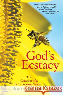 God's Ecstasy: The Creation of a Self-Creating World Beatrice Bruteau 9780824516833 Crossroad Publishing Co ,U.S. - książka