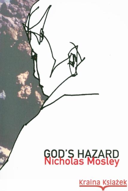 God's Hazard Nicholas Mosley 9781564785404 DALKEY ARCHIVE PRESS,U.S. - książka